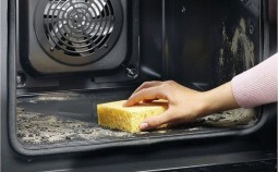 Чем отмыть духовку от старого пригоревшего жира: универсальные средства, советы для газовых и электроприборов