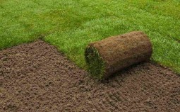 Как самостоятельно уложить рулонный газон?